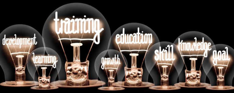 Lightbulbs with the words training, skills and education inside